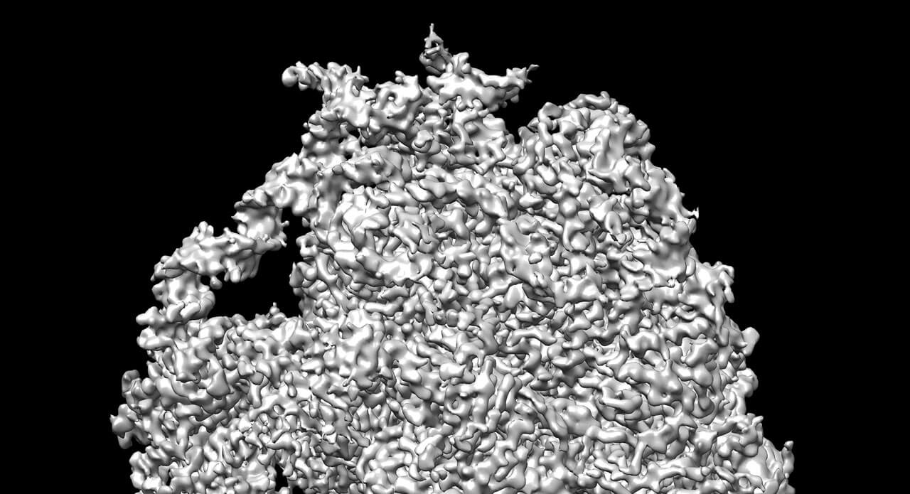 ribosome-1280x695.jpg